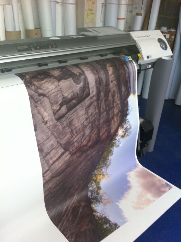 printing-wall-paper-hemel-hempstead30852C8F-8BE5-3CDA-F23E-5E2F83B0DDCE.jpeg